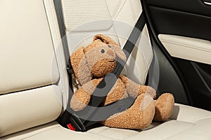 Cute stuffed toy rabbit buckled