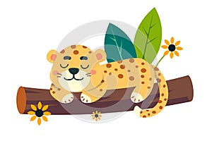 Cute stylised jaguar sleeping on tree branch in jungle. Scene for design. Vector illustration