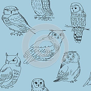 Cute stylish seamless pattern with owls on a blue background