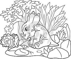 Cute styracosaurus looking at snail photo