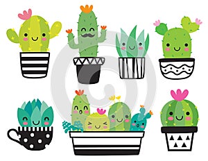 Cute Succulent or Cactus Vector Illustration