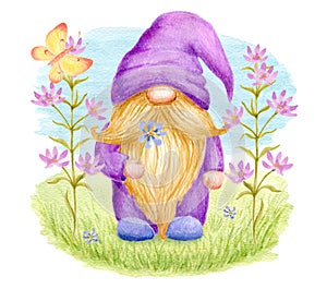 Cute summer Gnome with meadow flowers on green lawn and butterfly. Holiday card design. Watercolor drawing clipart