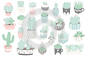 Cute summer sticker set with cacti and succulents