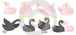 Cute swan. Fairytale princess and prince swans, elegant pair of birds with child cartoon character vector set