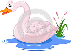 Cute swan floats on mountain river