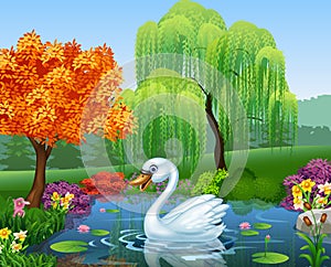 Cute swan floats on mountain river
