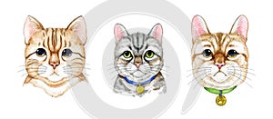 Cute tabby cat portrait set. Watercolor cartoon style illustration. Hand painted grey and red striped kitty faces. Funny