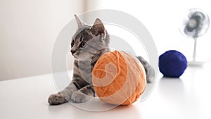 Cute tabby cute kitten cat with green eyes lying and a ball of yarn on white background