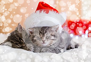 Cute tabby kittens sleeping together in christmas hat with blur snow lights. Santa Claus hat on pretty Baby cat. Christmas cats.