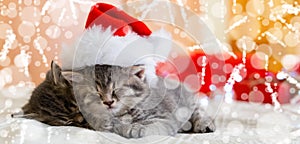 Cute tabby kittens sleeping together in christmas hat with blur snow lights. Santa Claus hat on pretty Baby cat. Christmas cats.