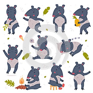 Cute Tapir Animal with Proboscis Engaged in Different Activity Vector Set