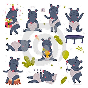 Cute Tapir Animal with Proboscis Engaged in Different Activity Vector Set