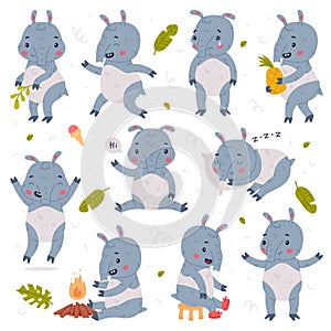 Cute Tapir Animal with Proboscis Engaged in Different Activity Vector Set