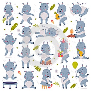 Cute Tapir Animal with Proboscis Engaged in Different Activity Vector Set