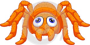 Cute tarantula cartoon