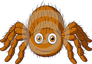 Cute tarantula spider cartoon
