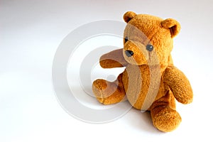 Cute teddy