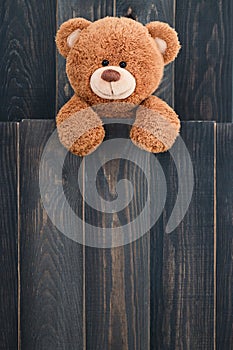 Cute teddy bear