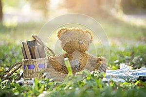 Cute teddy bear with books. sitting on garden