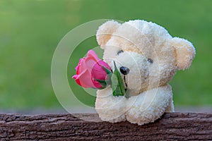 Cute teddy bear clutching a red rose in its arms on wooden background, copy space. photo