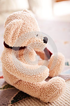 Cute teddy bear on the floor