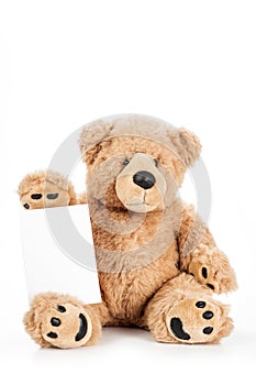 Cute teddy bear holding blank board
