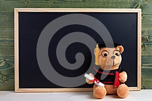 Cute teddy bear with nice graduation clothes and diploma in front of black chalkboard. School concept