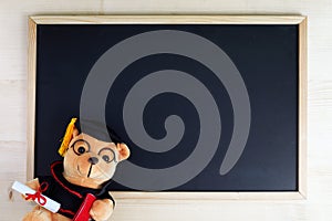 Cute teddy bear with nice graduation clothes and diploma in front of black chalkboard. School concept