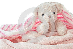 Cute teddy bear play hides and seeks with fabric, Happy feel concept