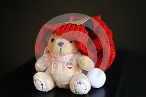 Cute teddy bear with red christmas hat isolated on dark black background.