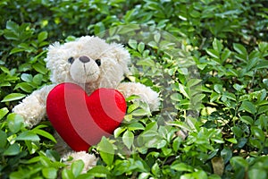 Cute teddy bear with red heart on green grass background