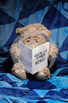 Cute Teddy Bear sits on a blue blanket and reads a book. Charming education and socialising concept.