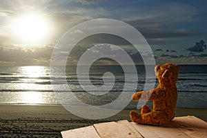 cute teddy bear sitting at the beach