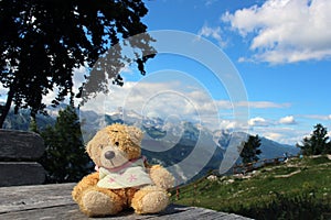 Cute teddy bear sitting on unpainted wooden boards with mountains as background