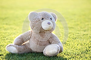 Cute teddy bear toy sitting on green grass in summer