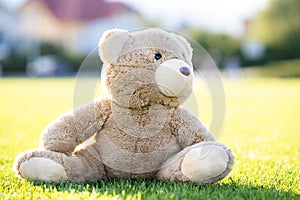 Cute teddy bear toy sitting on green grass in summer