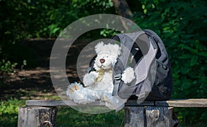 Cute teddy bear-traveler with a backpack