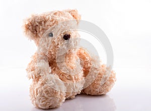 Cute Teddy Bear on white photo