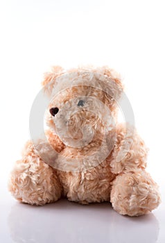 Cute Teddy Bear on white photo