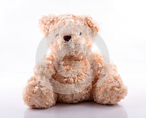 Cute Teddy Bear on white photo