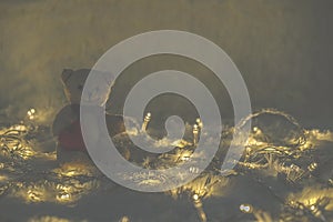 Cute teddy bear on wool Background