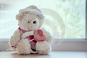 Cute teddy bears holding heart shaped colorful spiral lollipop