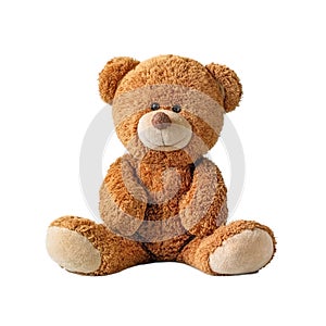 Cute teddy Cute teddy bear isolated