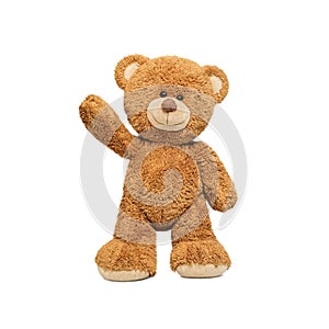 Cute teddy Cute teddy bear isolated