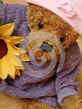 Cute teddy with sunflower