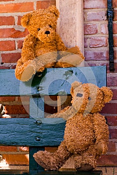 Cute teddybear couple