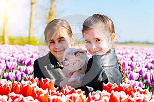 Cute teen girl with long hair smelling tulip flower on tulip fields in Amsterdam region, Holland, Netherlands.