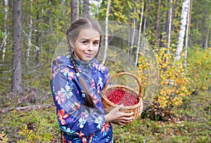 Cute teenage caucasian girl is holding a wicker basket full of red ripe wild lingonberry in northern forest