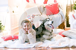 Cute teenage girl in a white knitted sweater plays with a dog Malamute in a room decorated for Christmas. Christmas mood