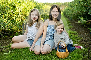 Cute teenage sisters and their little brother picking fresh berries on organic blueberry farm on warm and sunny summer day. Fresh